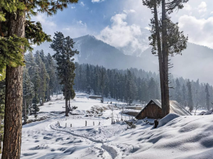 A scenic view of Kashmir